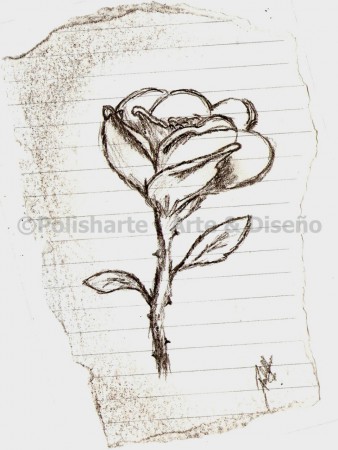 Rosa blanco & negro. 2005